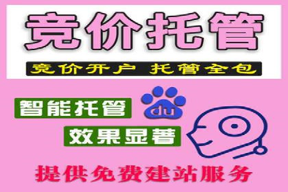 竞价托管sem案例揭秘：关键词策略的巧妙运用